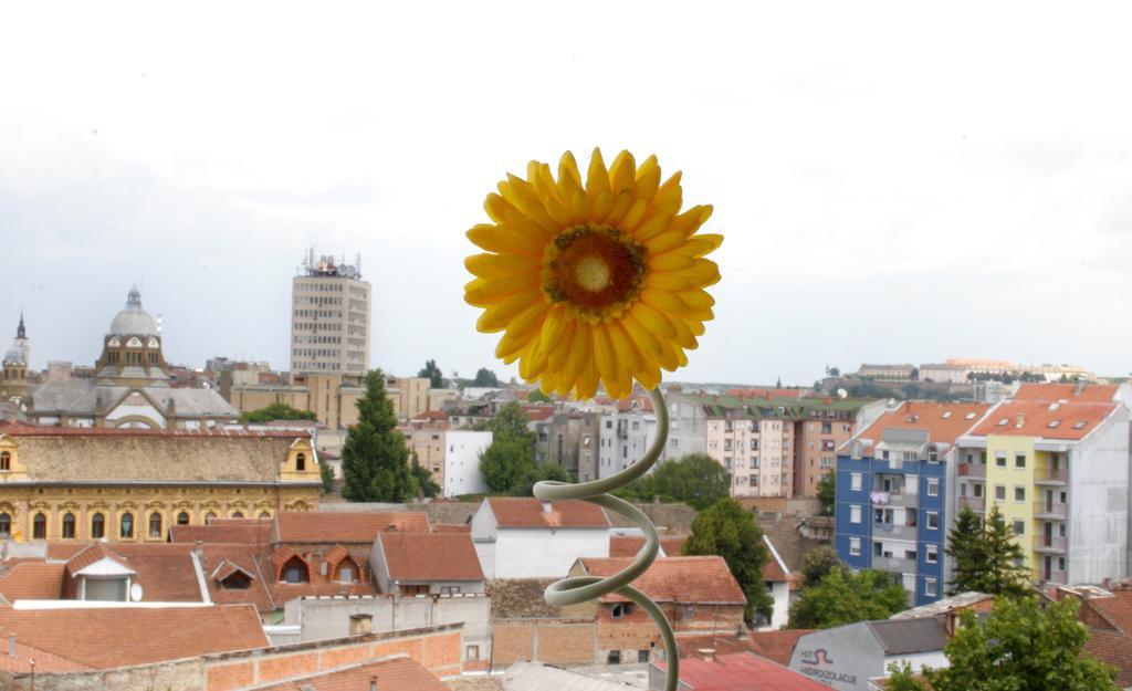 Panorama City Inn Sremski Karlovci Eksteriør bilde